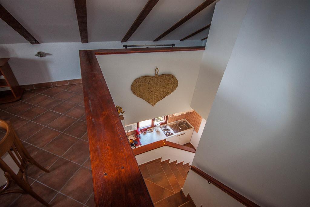 Apartman Joso Diklo Esterno foto